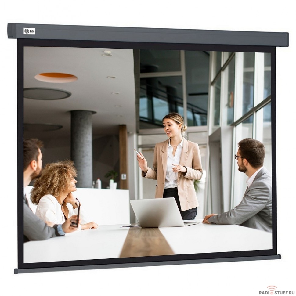 Экран Cactus Wallscreen CS-PSW-127X127-SG,  127х127 см, 1:1,  настенно-потолочный серый